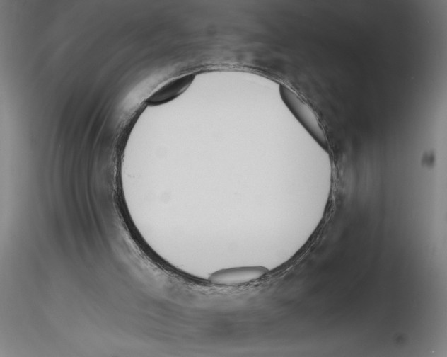 X0000116130005201001041021