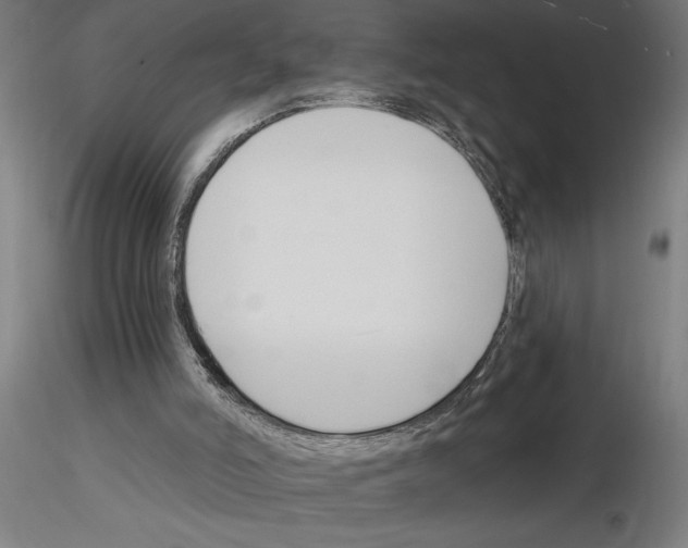 X0000116130006201001041021