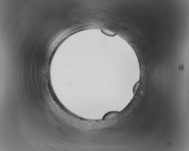 X0000116130007201001041021