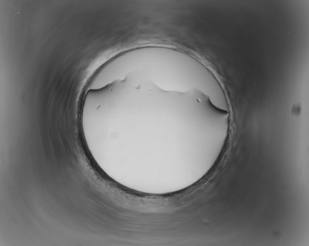 X0000116130008201001041021