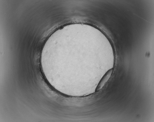 X0000116130009201001041021