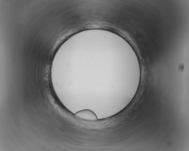 X0000116130010201001041021