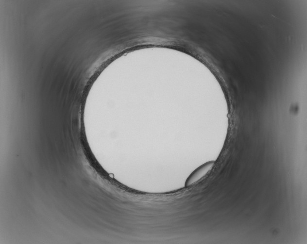 X0000116130011201001041021