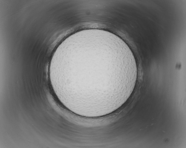 X0000116130014201001041021