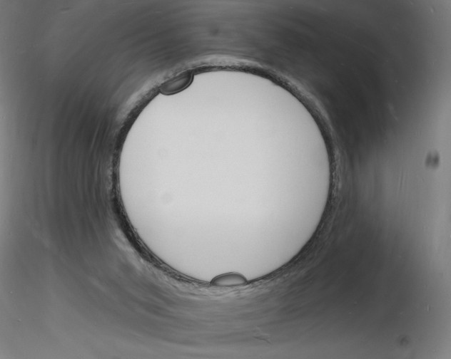 X0000116130015201001041021