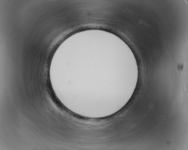 X0000116130016201001041021