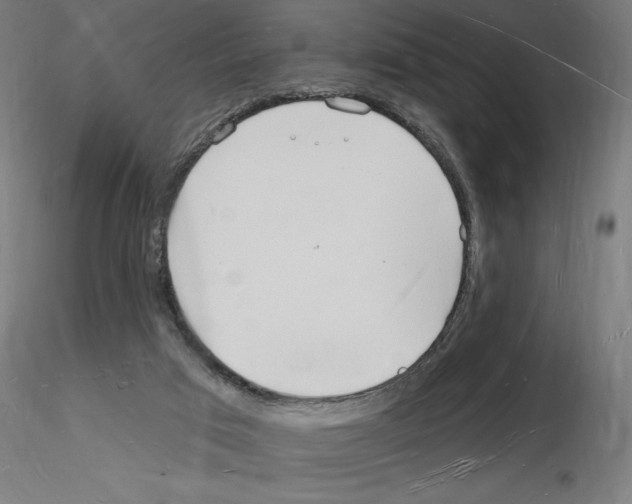 X0000116130017201001041021