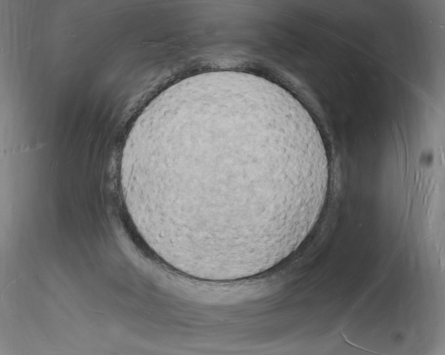 X0000116130018201001041021