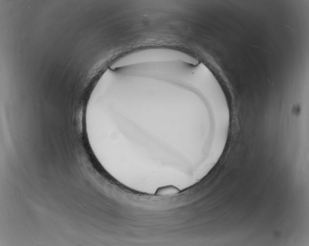 X0000116130019201001041021