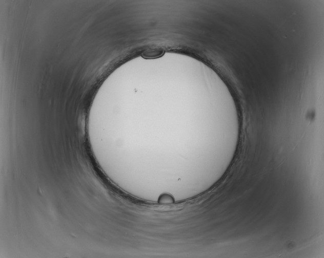 X0000116130021201001041021