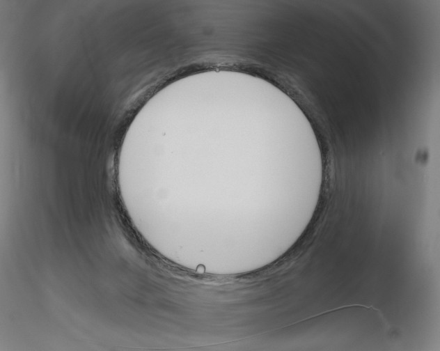 X0000116130024201001041021