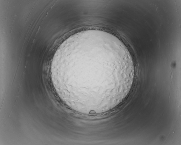 X0000116130026201001041021