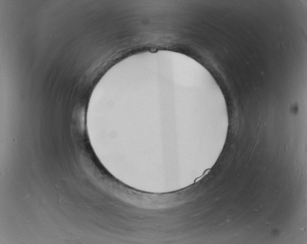 X0000116130027201001041021