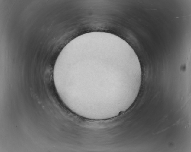 X0000116130029201001041021