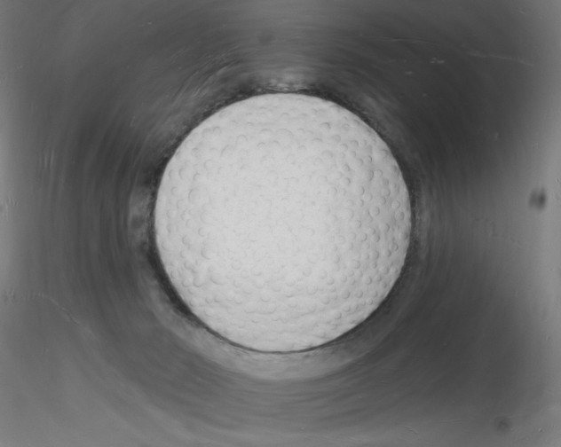 X0000116130030201001041021