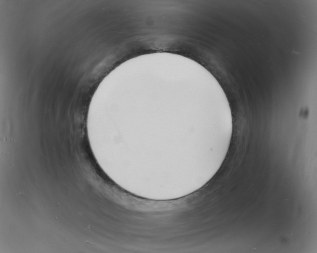 X0000116130031201001041021