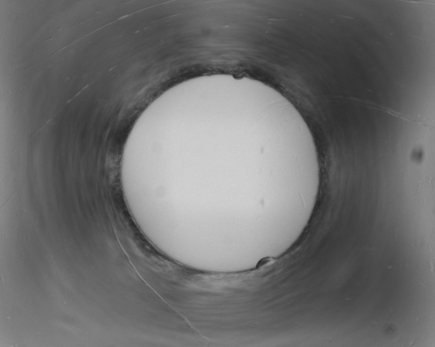 X0000116130033201001041021
