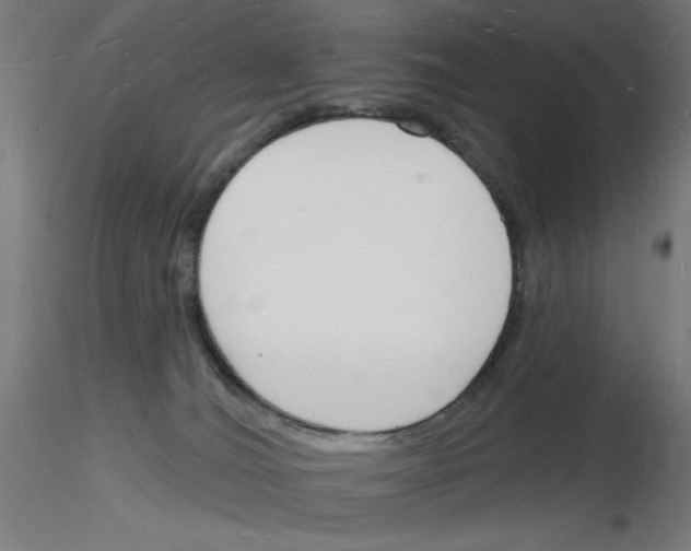 X0000116130036201001041021