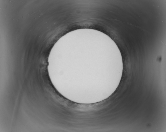 X0000116130037201001041021