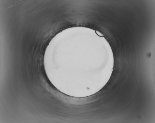X0000116130039201001041021