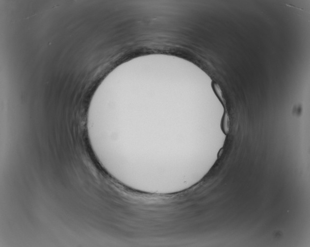 X0000116130040201001041021