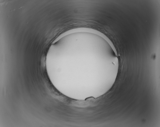 X0000116130041201001041021