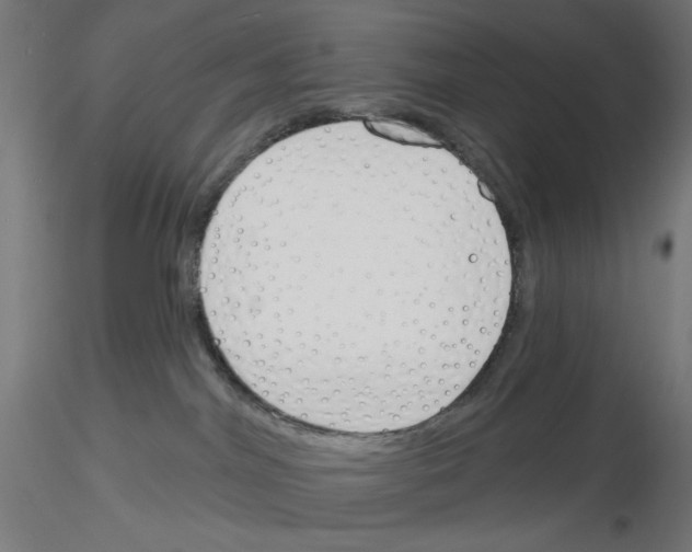 X0000116130044201001041020