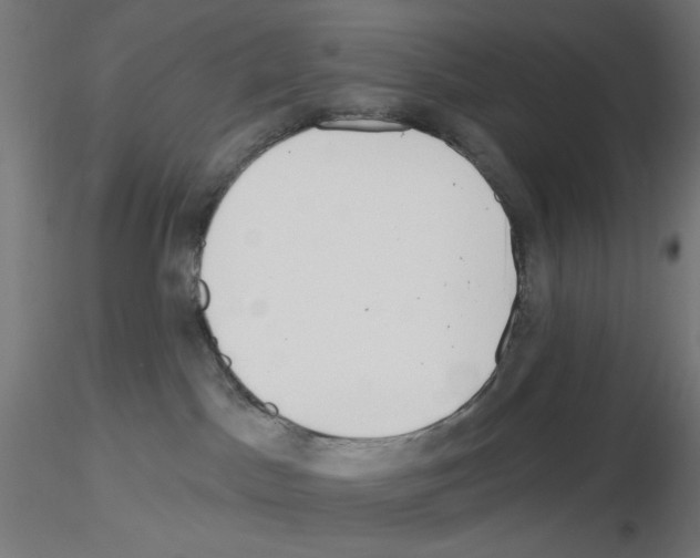 X0000116130045201001041020