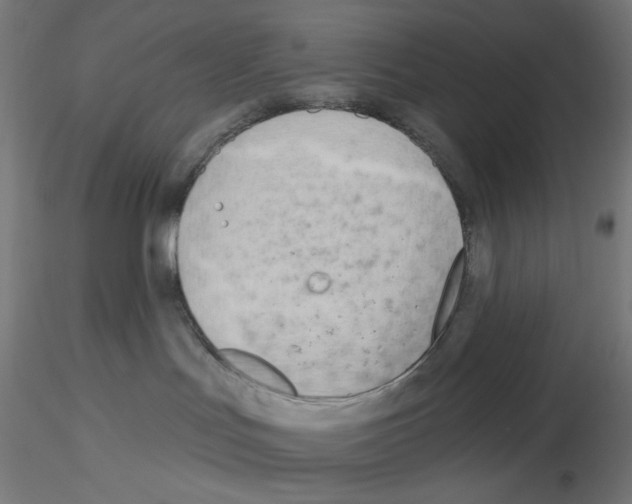 X0000116130047201001041020