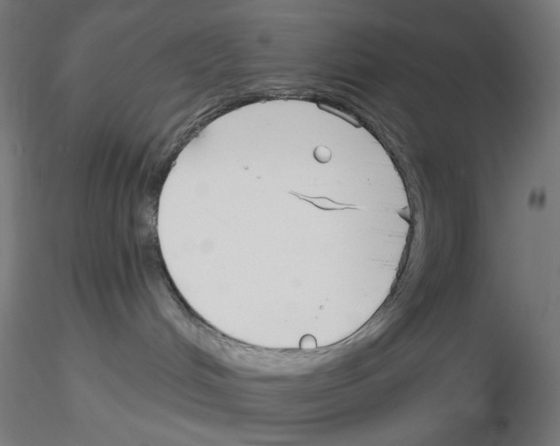X0000116130048201001041020