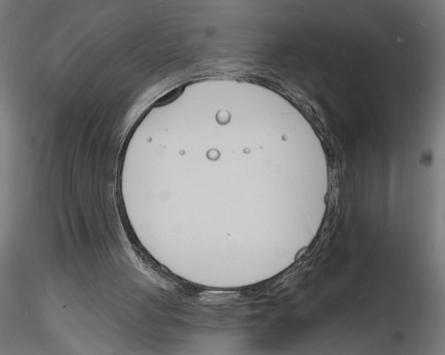 X0000116130051201001041020