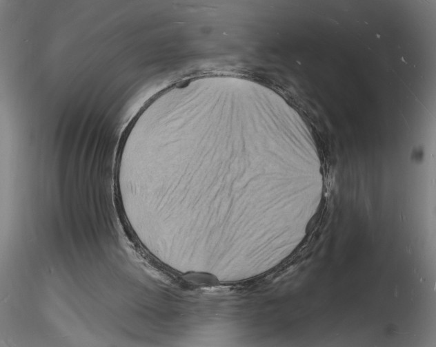 X0000116130052201001041020