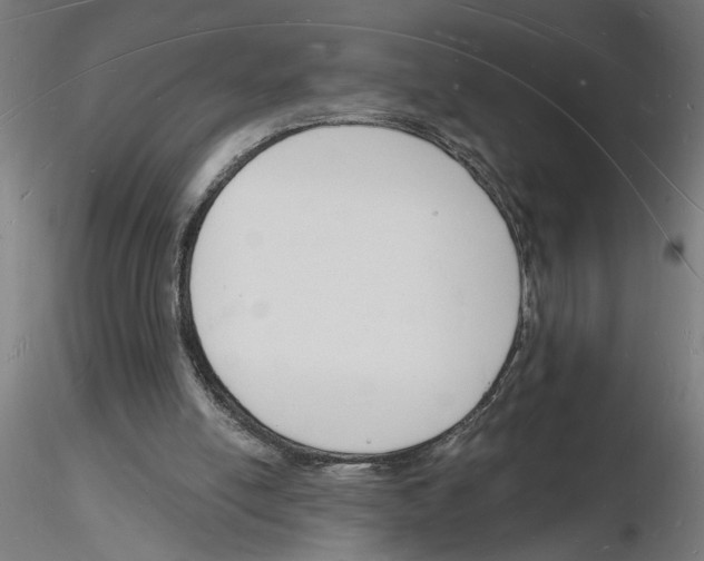 X0000116130054201001041020