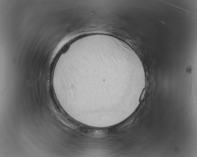 X0000116130056201001041020