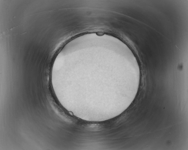 X0000116130059201001041020