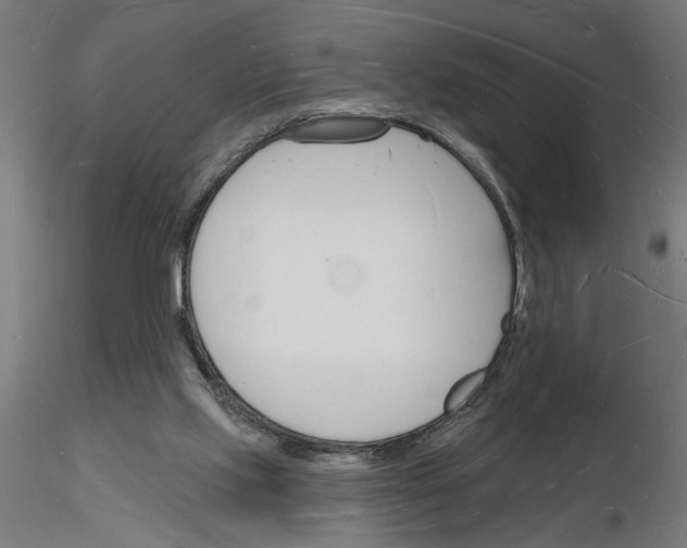 X0000116130061201001041020
