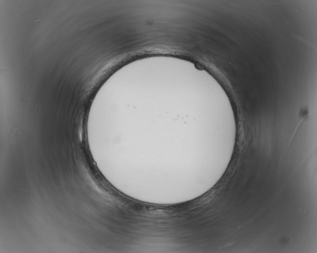 X0000116130062201001041020