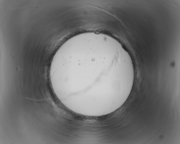 X0000116130066201001041020