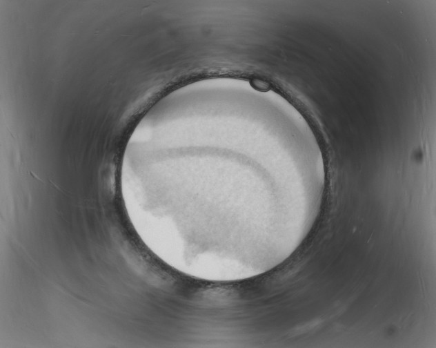 X0000116130067201001041020