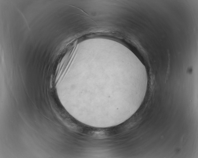 X0000116130068201001041020