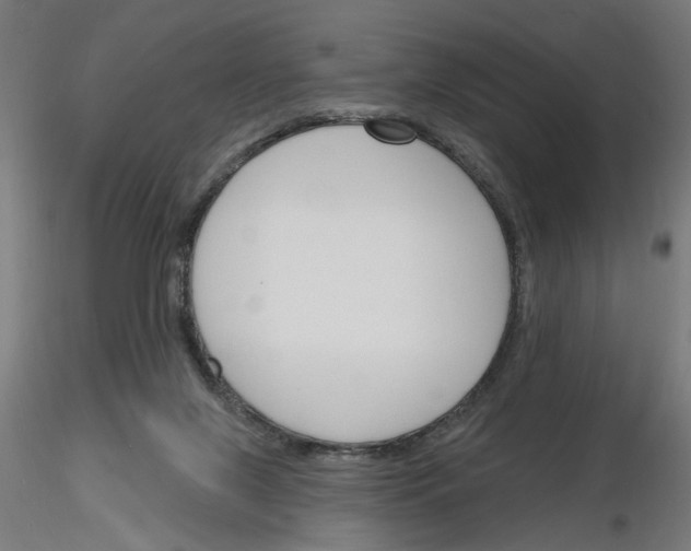 X0000116130071201001041020