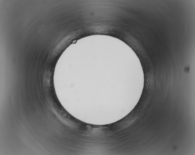 X0000116130072201001041020