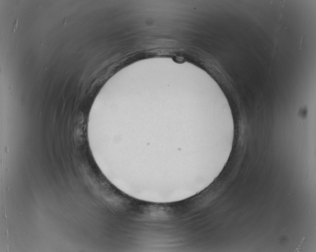 X0000116130073201001041020