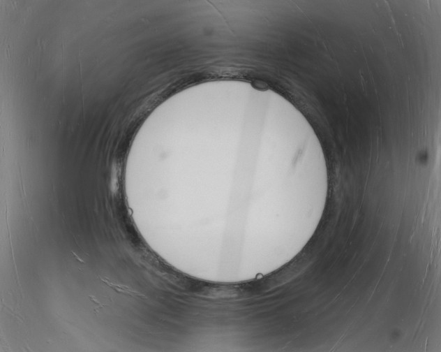 X0000116130075201001041020