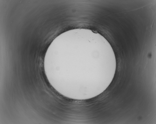 X0000116130077201001041020