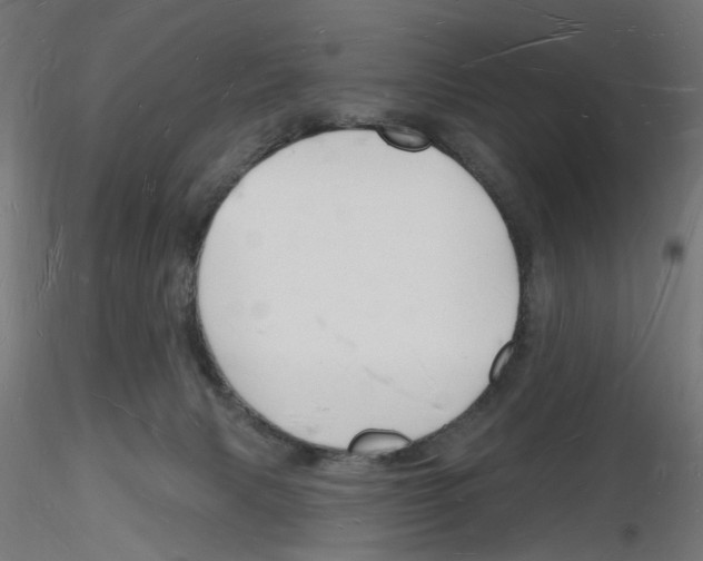 X0000116130079201001041020