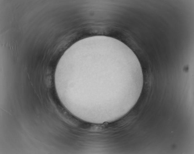 X0000116130080201001041020