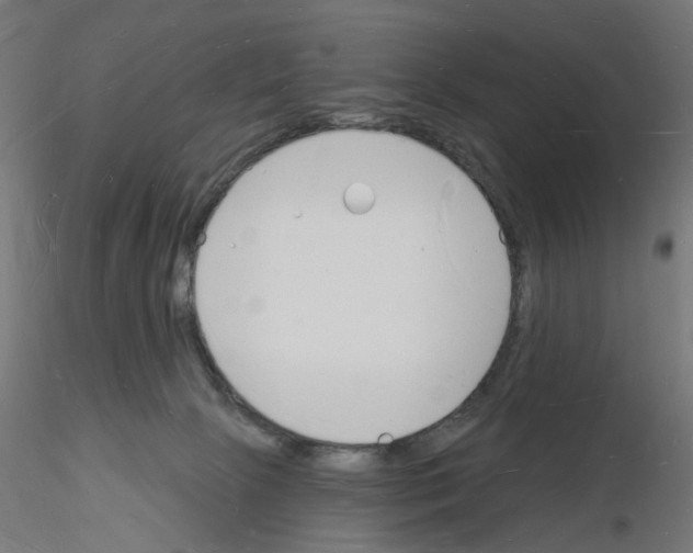 X0000116130081201001041020
