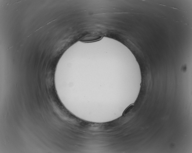 X0000116130088201001041020