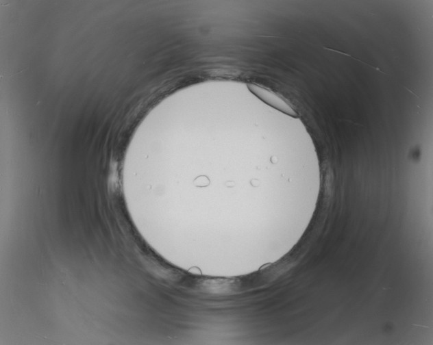 X0000116130089201001041020